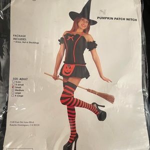 Adult witch costume